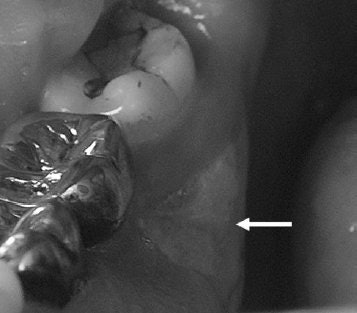 2007 10 12 10 10 14 706