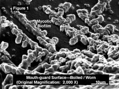 2007 12 19 13 31 26 706