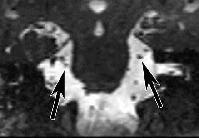 2008 01 22 17 24 08 706