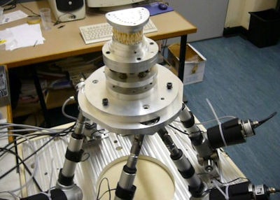 2008 09 24 09 59 30 48 2008 09 24 Dento Munch