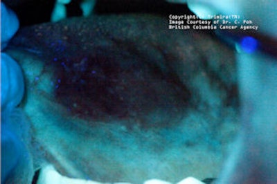 2009 03 03 17 23 19 71 2009 03 04 Identafi Violet2