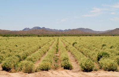 2009 03 12 16 11 46 191 2009 03 12 Latex2