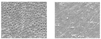 2009 04 03 13 03 19 802 2009 04 03 Sports Drinksb