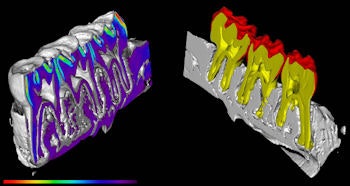 2009 04 07 09 46 59 928 2009 04 07 Gnetherapy2