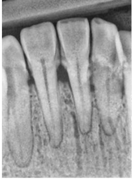 2009 05 01 14 28 58 36 2009 05 04 Drsoftware6b