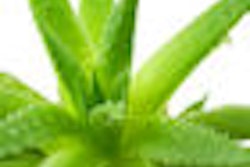 2009 08 05 09 56 24 612 Aloe Vera 70