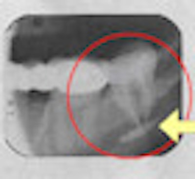 2010 02 02 12 41 18 604 Sargenti 70