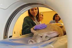 2010 04 02 16 54 13 295 2010 04 02 Zoo Ct