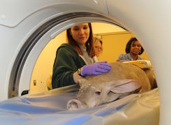 2010 04 02 16 54 13 295 2010 04 02 Zoo Ct