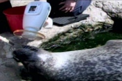 2010 04 26 09 59 57 761 2010 04 26 Seal