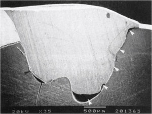 2010 08 16 21 52 04 435 2010 08 17 Flowables1