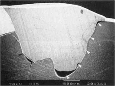 2010 08 16 21 52 04 435 2010 08 17 Flowables1