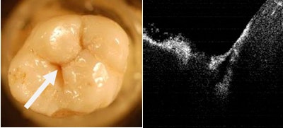 2010 10 04 09 49 02 423 Figure1 2 Combined 400