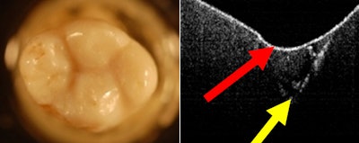 2010 10 04 11 36 33 839 Figure3 4 Combined 400