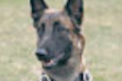 2010 12 02 23 42 20 352 2010 12 03 Vet Thumb