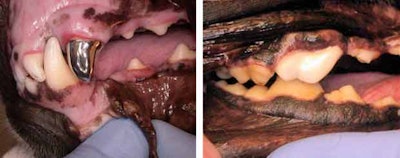 2010 12 02 23 42 22 293 2010 12 03 Vet 7 Ab