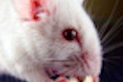 2011 07 13 10 34 55 280 Mouse Eating 70