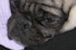 2011 09 02 10 47 32 317 2011 09 13 Buster Thumb