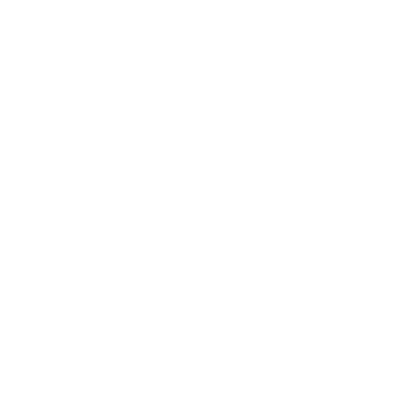 Special Feature Icon