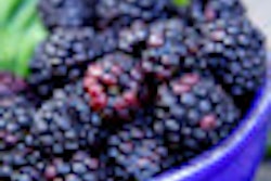 2012 02 15 14 56 14 188 Black Raspberries 70