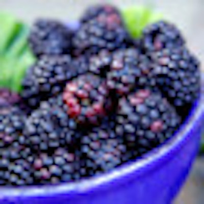 2012 02 15 14 56 14 188 Black Raspberries 70
