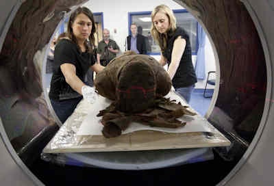 Rm2718 Gets Placed In The Ct Scanner At The Montreal Neurological Institute And Hospital