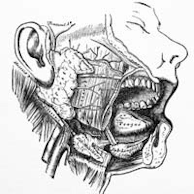 2013 04 19 11 50 16 758 Salivary Glands 200