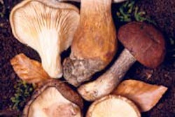 2013 05 07 16 45 41 74 Mushrooms 200