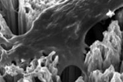 2013 09 23 15 19 47 595 2013 09 24 Nanotubes2 20130923222016