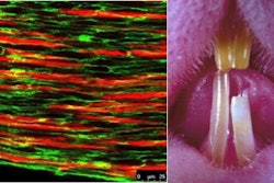 2014 02 06 15 51 58 31 Mouse Combined Stem Cell
