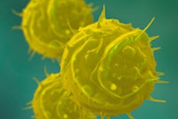 2014 07 07 16 22 32 168 Stem Cell 200