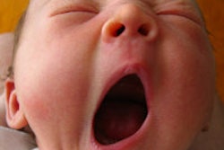 2014 12 22 14 19 17 41 Baby Yawn 200
