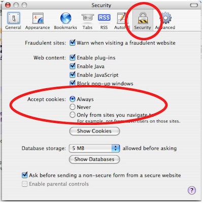 2009 07 29 15 03 25 839 Safari Issue Screen Shot