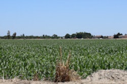 2016 06 27 14 41 54 348 Hilmar Thumbnail 2 200