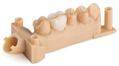 The Dental Model resin.