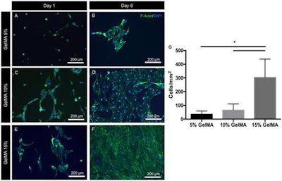 Cell spreading and monolayer formation by endothelial colony forming cells (ECFCs) on 2D GelMA hydrogels. Representative images of ECFCs on (A,B) 5%, (C,D) 10%, and (E,F) 15% GelMA hydrogels after 1 and 6 days in culture, stained for actin (green) and DAPI (blue) showed increased cell spreading and cell density on stiffer substrates at both early and late time points. (G) Quantification of the number of cells per unit surface area on day 6, representative of cell coverage on the hydrogels and the propensity for endothelial monolayer formation suggests that stiffer GelMA hydrogel substrates support ECFC proliferation and monolayer formation. Statistical significance is represented by * for p < 0.05.