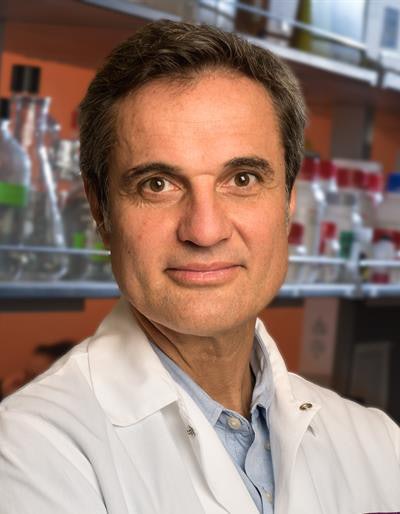 Rodrigo Lacruz, PhD. Image courtesy of New York University.
