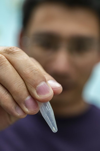A researcher holds the shark tooth sliver.