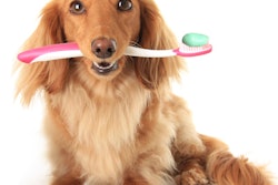2019 07 09 22 42 0148 Dog Toothbrush 400