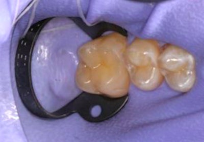 All images courtesy of Dr. David Rice.