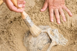 2019 11 20 00 10 4439 Archaeology Discovery 400