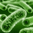 2016 08 25 16 27 40 366 Bacteria 400
