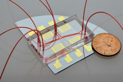 Acoustofluidic exosome isolation chip for salivary exosome isolation. The microfluidic channel is shown by a red dye solution and a coin demonstrates the size of the chip. Two pairs of gold interdigital transducers are deposited along the channel, which separates particles according to size. Image courtesy of the Journal of Molecular Diagnostics.