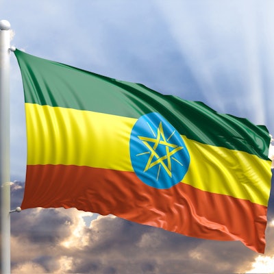 2020 03 04 22 59 3409 Ethiopia Flag 400