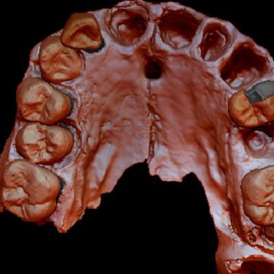 2020 04 06 17 07 1865 2020 04 07 Reconstruction Homo Antecessor 20200406183214