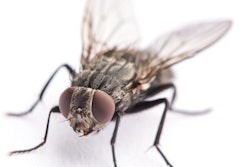 2020 08 06 16 25 2258 Fly 400