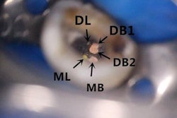 2020 09 24 20 06 4528 2020 09 28 Fifth Canal Image1 20200924202448