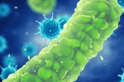 2020 08 19 20 34 4396 Pathogenic Bacteria Viruses 400