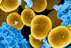 2020 10 12 17 48 8423 Bacteria Staphylococcus Aureus 400