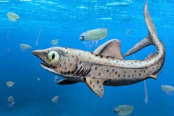 2020 11 19 20 22 0512 2020 11 20 Prehistoric Shark 400
